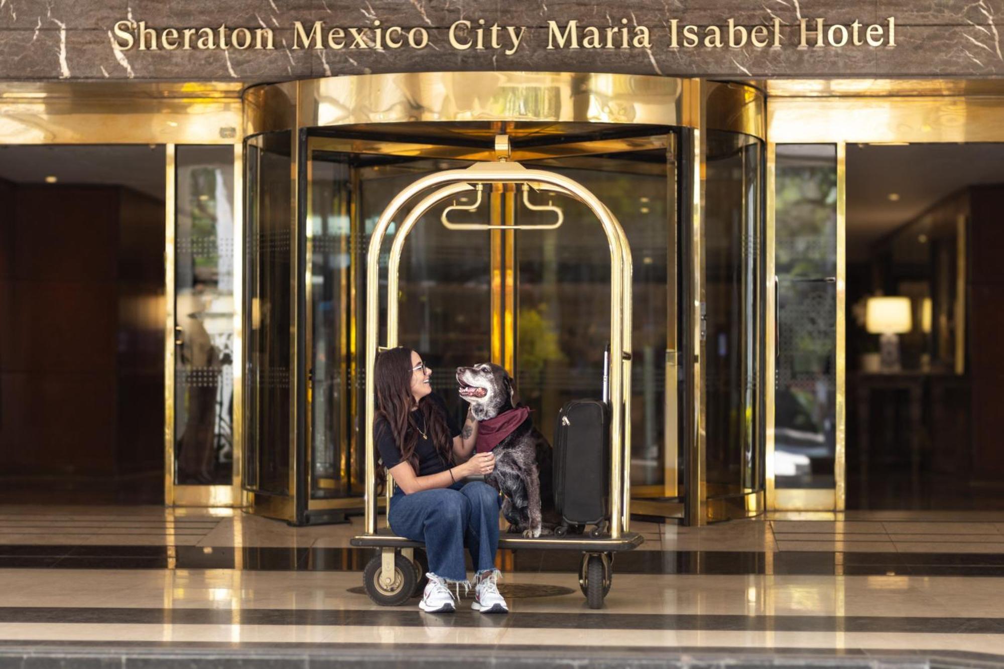 Sheraton Mexico City Maria Isabel Exterior photo